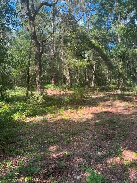 待售: $48,900 (1.30 acres)