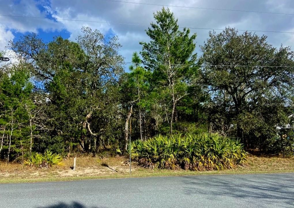 For Sale: $42,900 (0.50 acres)