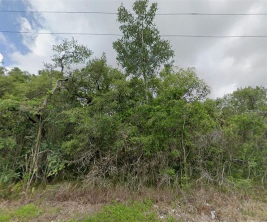 For Sale: $39,900 (0.45 acres)