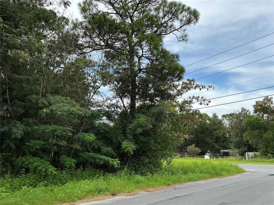 For Sale: $39,000 (0.26 acres)