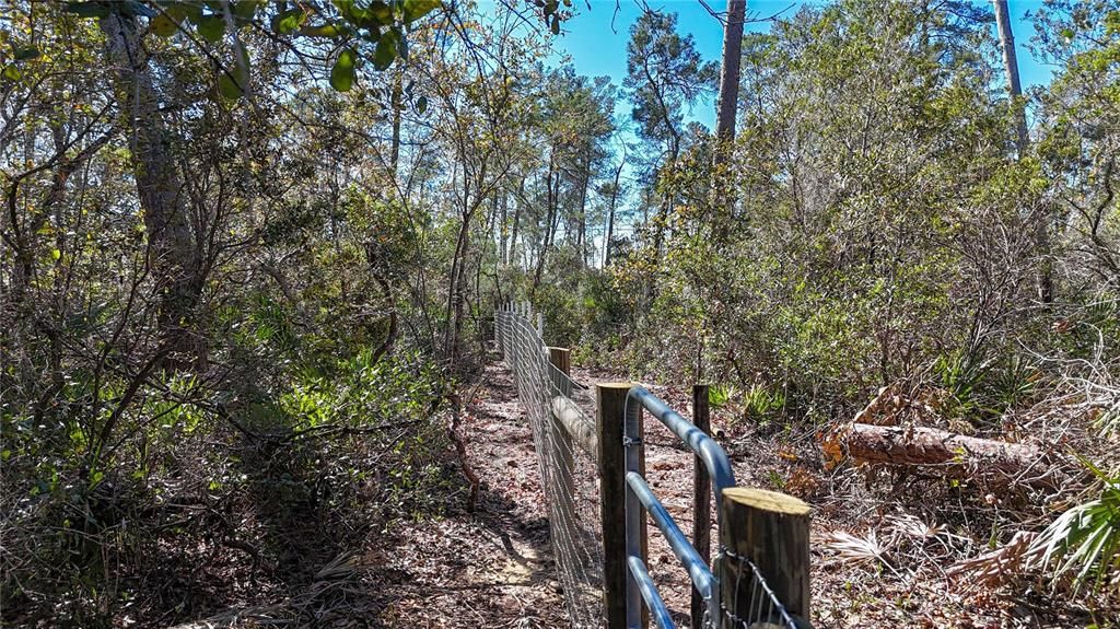 待售: $46,000 (1.31 acres)