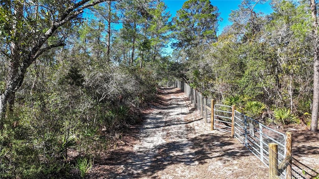 待售: $46,000 (1.31 acres)