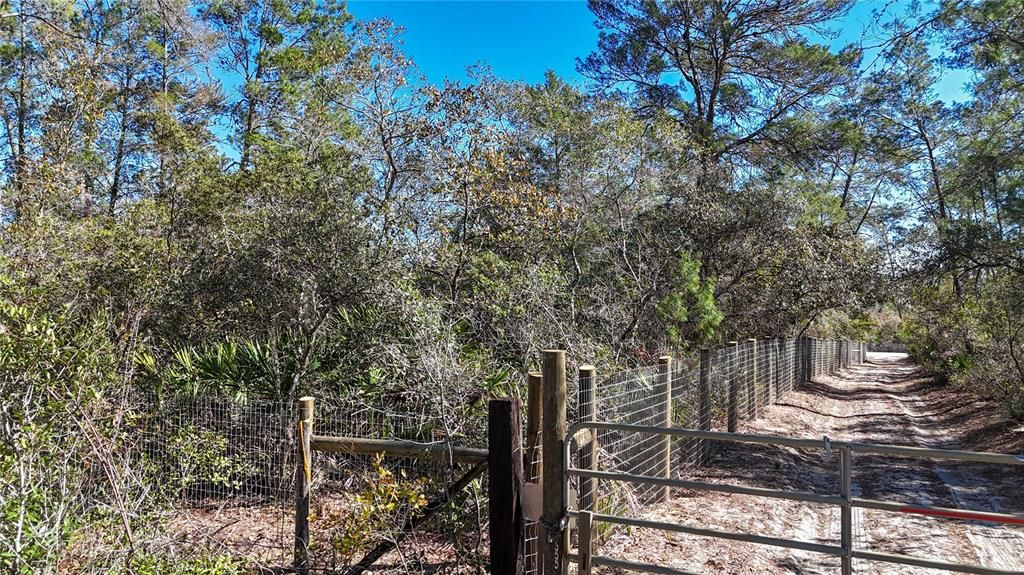 待售: $46,000 (1.31 acres)