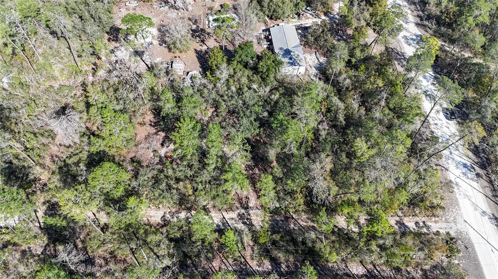 待售: $46,000 (1.31 acres)