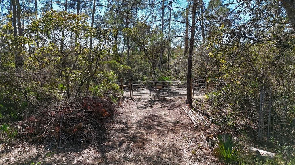待售: $46,000 (1.31 acres)