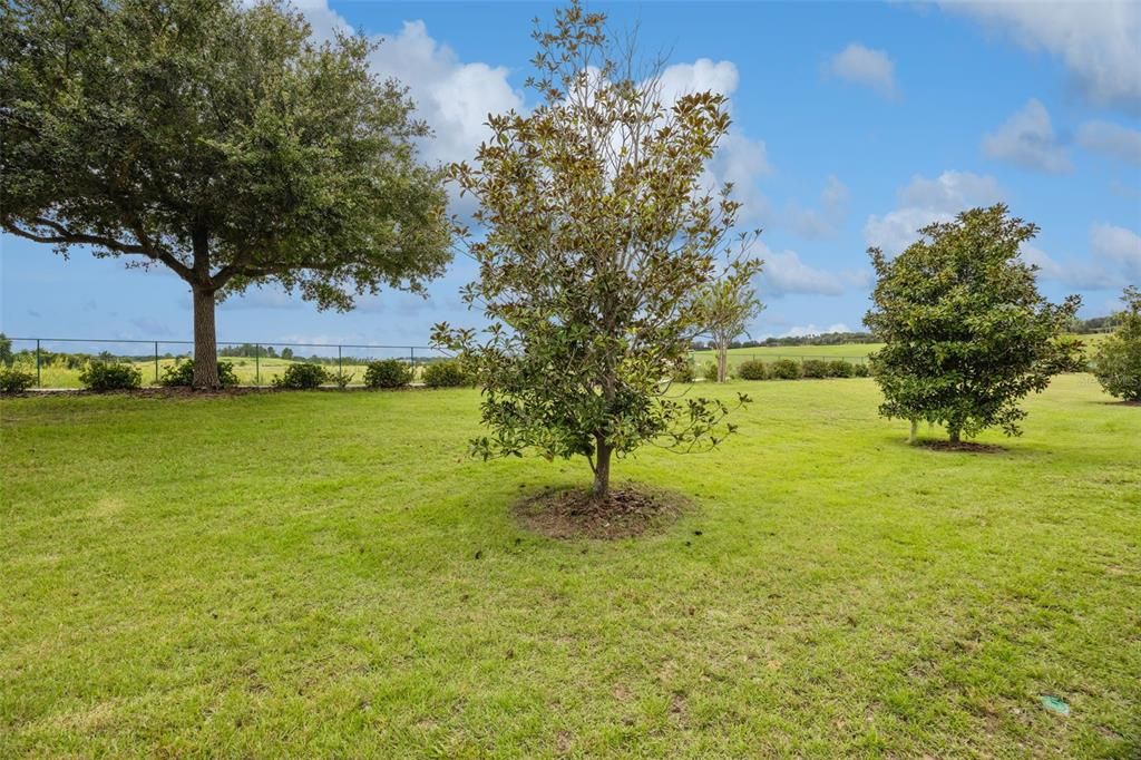 For Sale: $275,000 (2 beds, 2 baths, 1374 Square Feet)