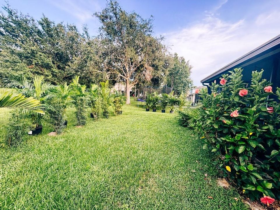 En Venta: $390,000 (3 camas, 2 baños, 1484 Pies cuadrados)