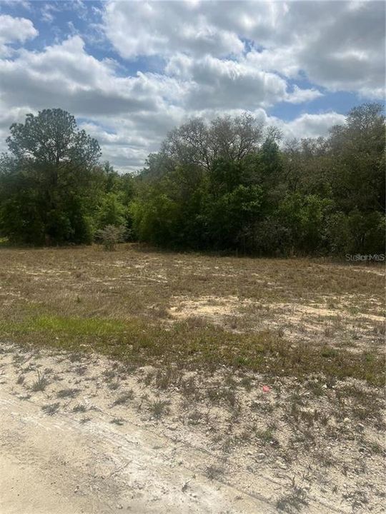 待售: $34,000 (1.01 acres)