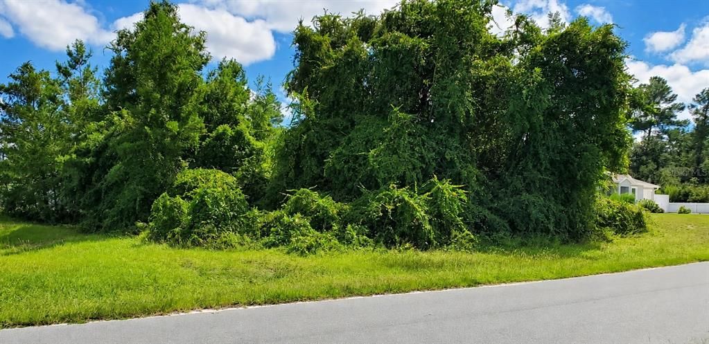 Activo con contrato: $42,000 (0.23 acres)