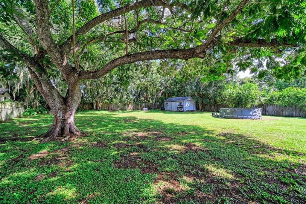 For Sale: $379,000 (3 beds, 2 baths, 1324 Square Feet)
