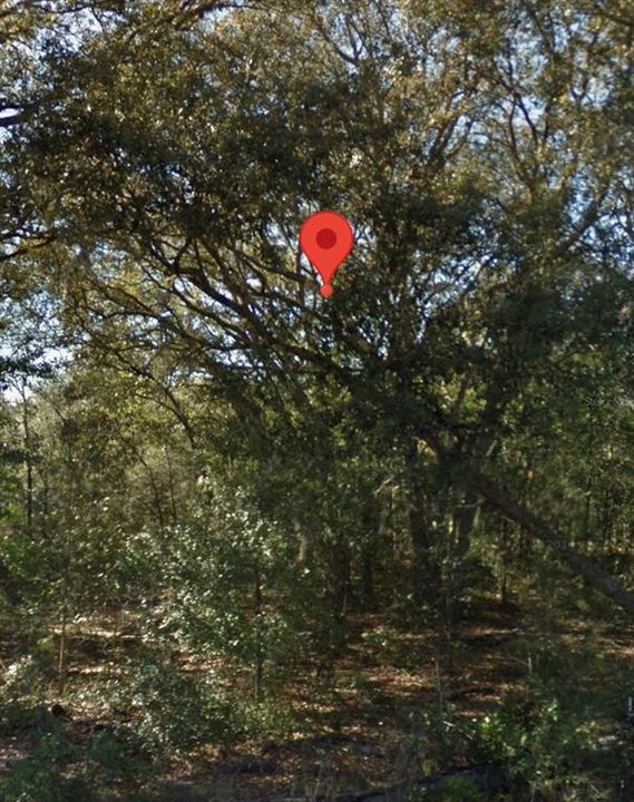 En Venta: $26,990 (1.00 acres)