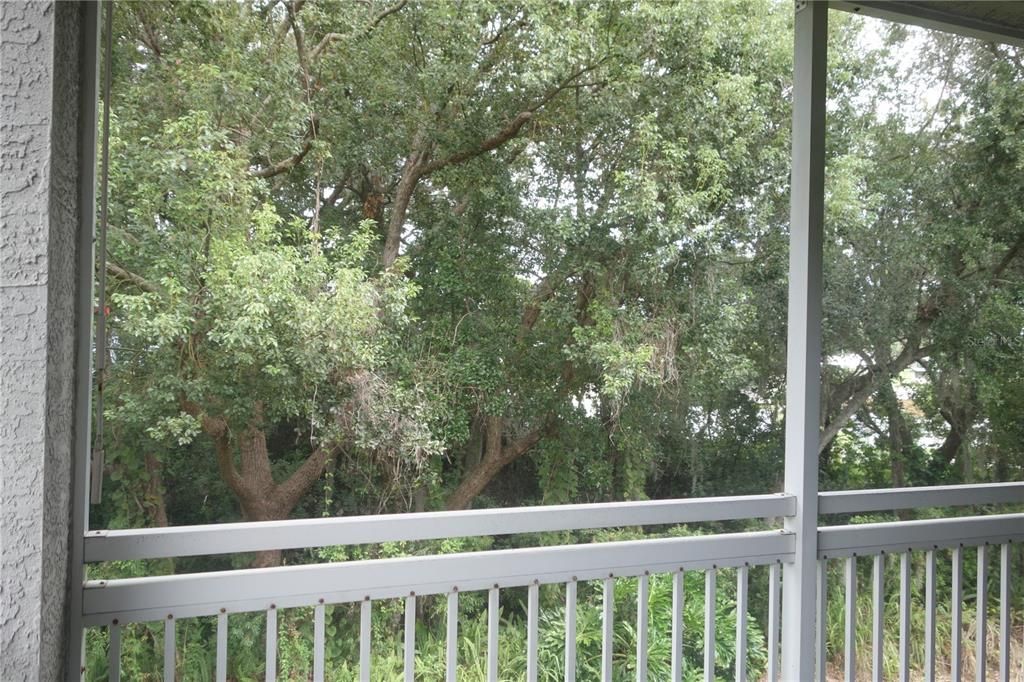 На продажу: $399,900 (3 спален, 2 ванн, 1774 Квадратных фут)