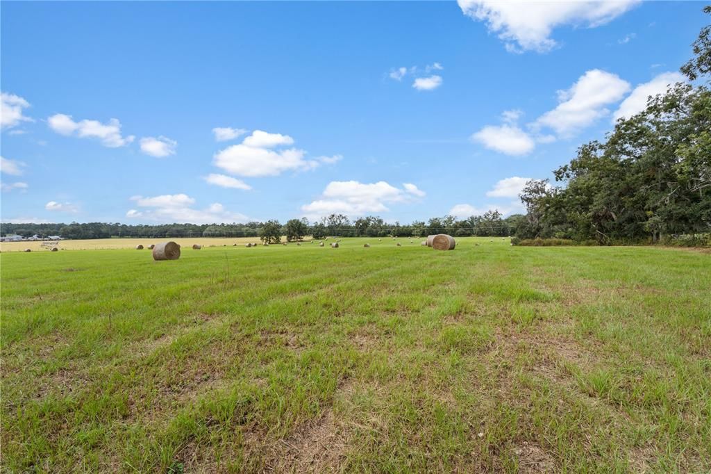 For Sale: $675,000 (47.10 acres)