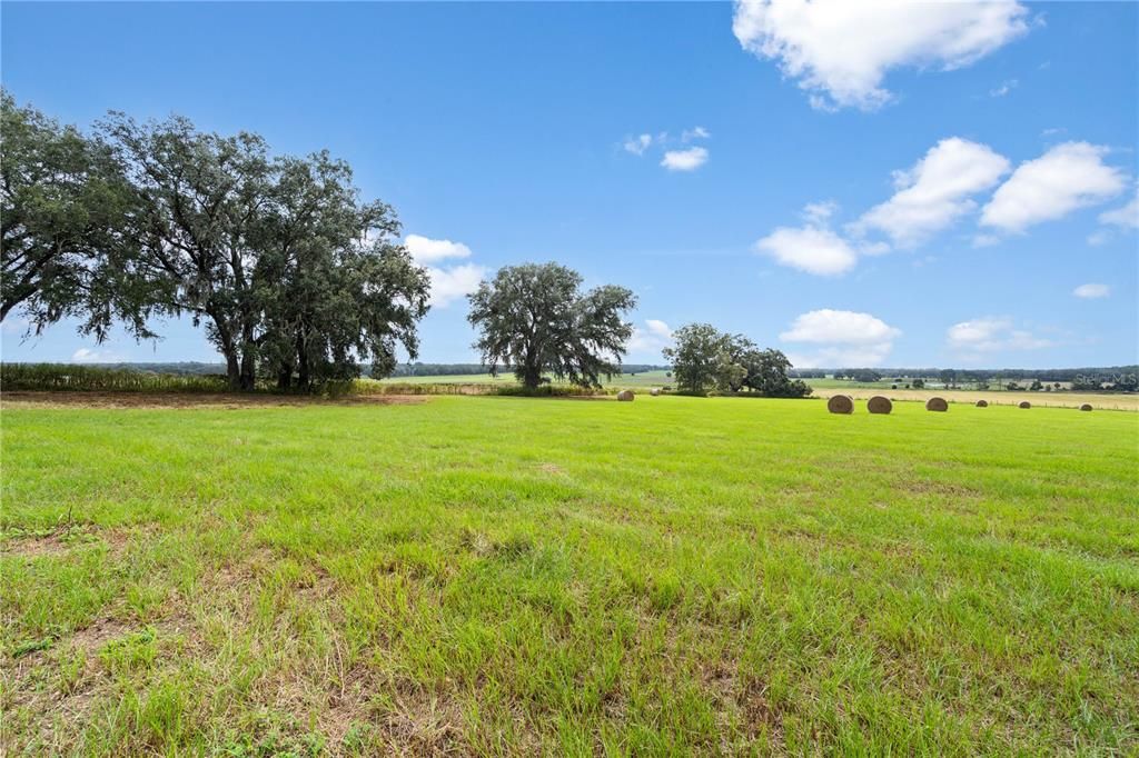 For Sale: $675,000 (47.10 acres)