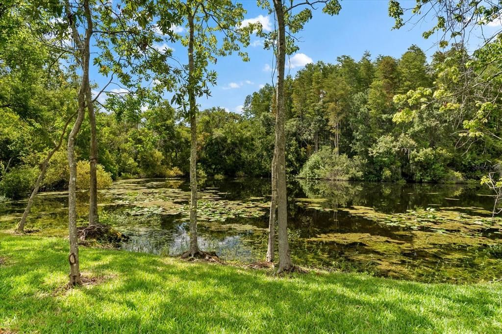 For Rent: $7,500 (3 beds, 3 baths, 3290 Square Feet)