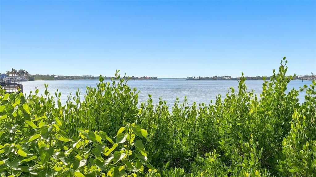 На продажу: $229,000 (1 спален, 1 ванн, 576 Квадратных фут)