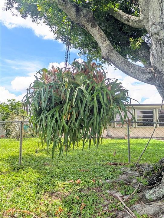 En Venta: $339,900 (3 camas, 2 baños, 1431 Pies cuadrados)