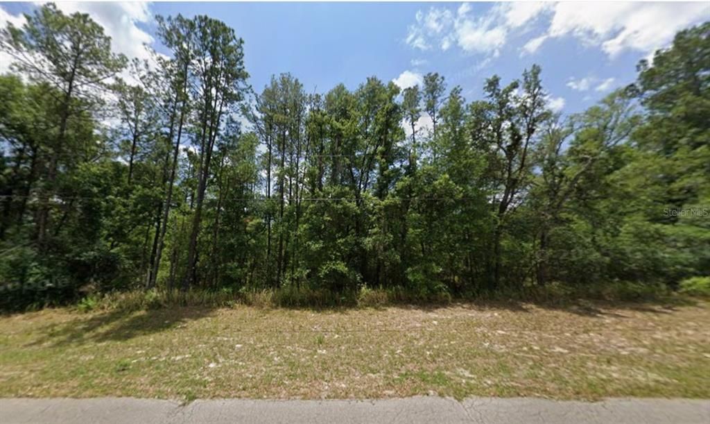 For Sale: $33,500 (0.24 acres)