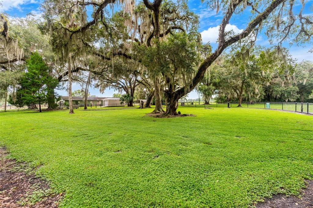 For Sale: $295,000 (2 beds, 2 baths, 1254 Square Feet)