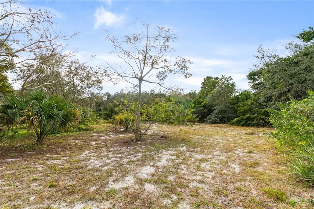 На продажу: $2,000,000 (8.88 acres)