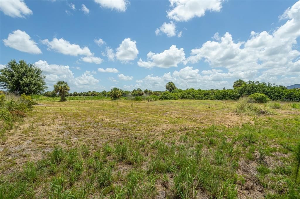 For Sale: $115,000 (1.25 acres)