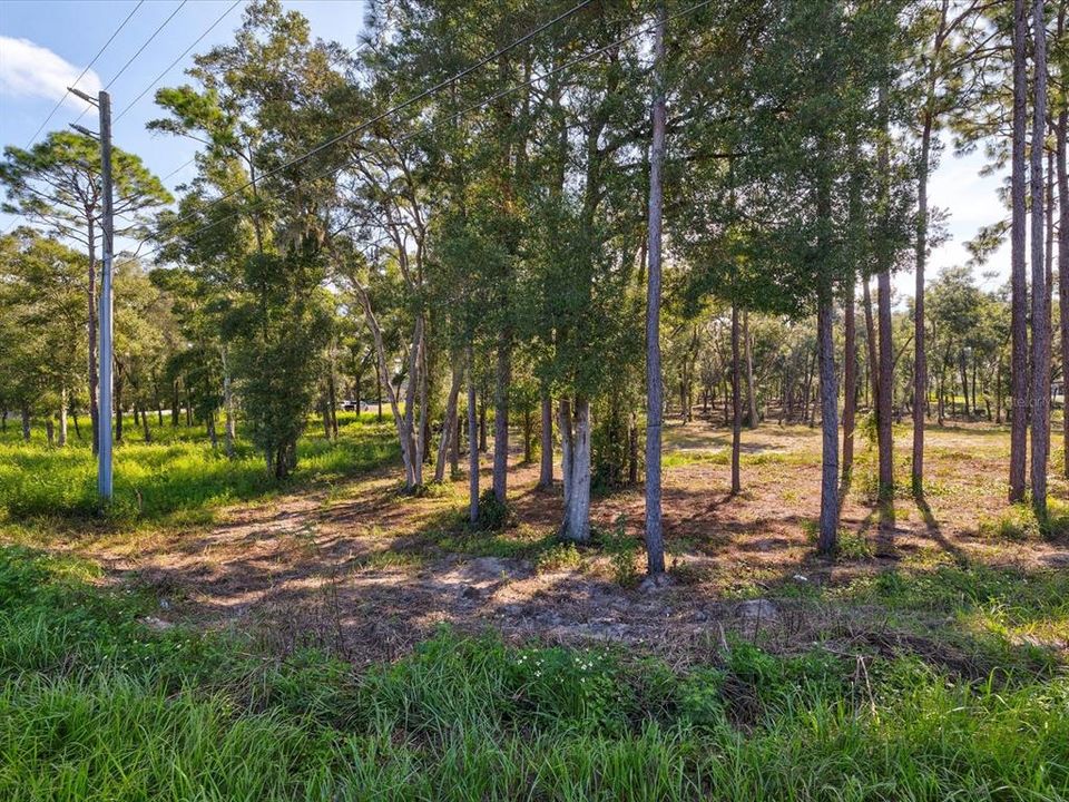 For Sale: $169,900 (2.41 acres)