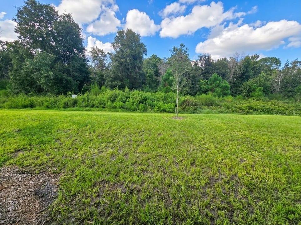 For Sale: $387,900 (4 beds, 2 baths, 1820 Square Feet)