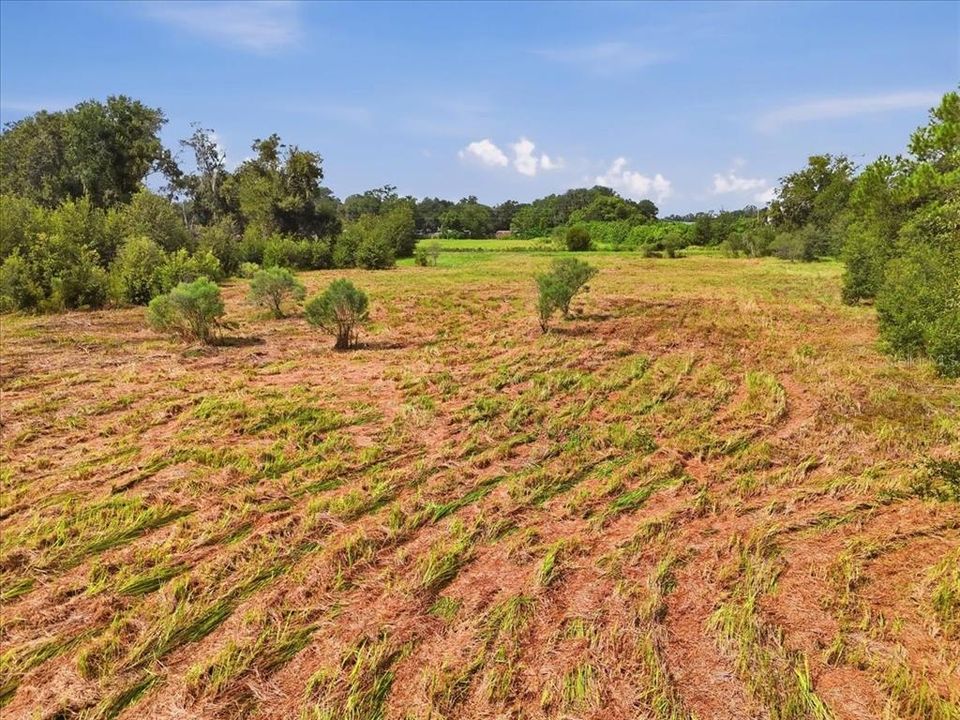 На продажу: $239,000 (2.19 acres)