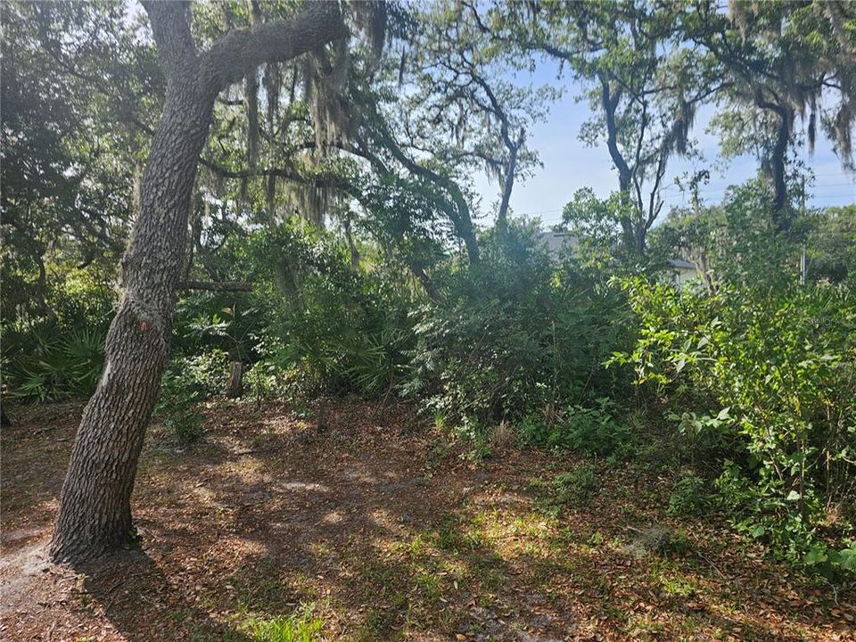 For Sale: $359,900 (3 beds, 3 baths, 1503 Square Feet)