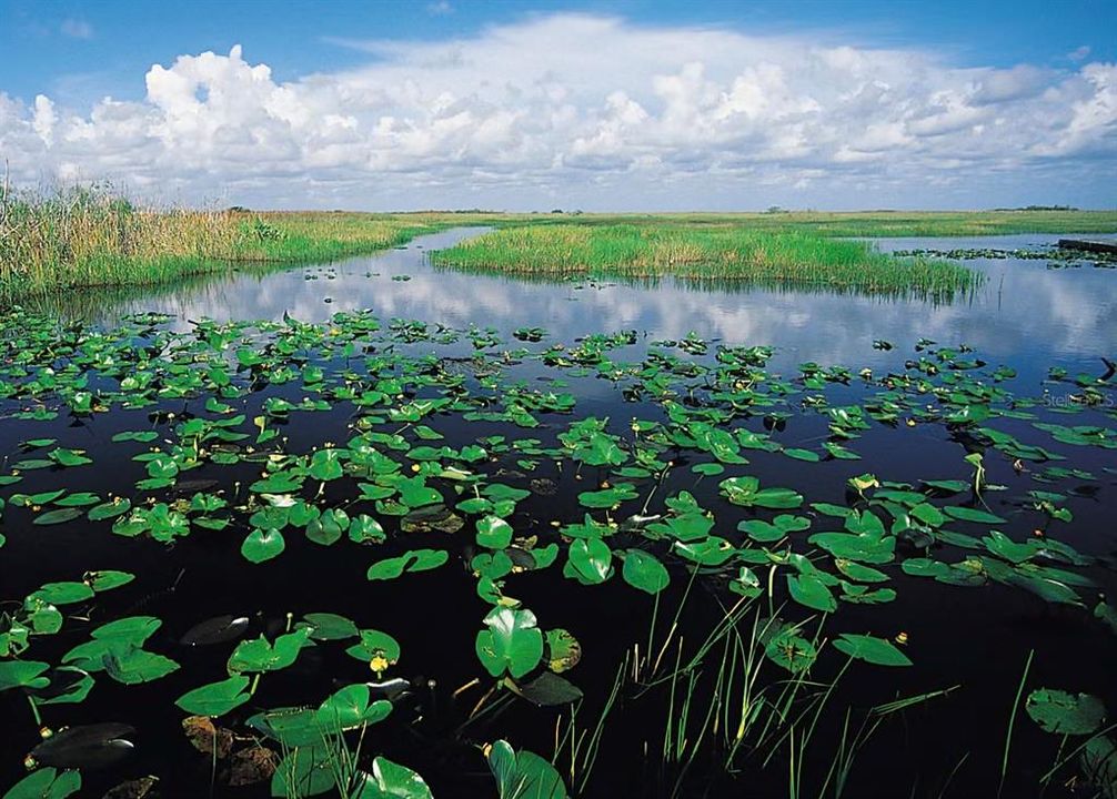 For Sale: $297,000 (5.05 acres)