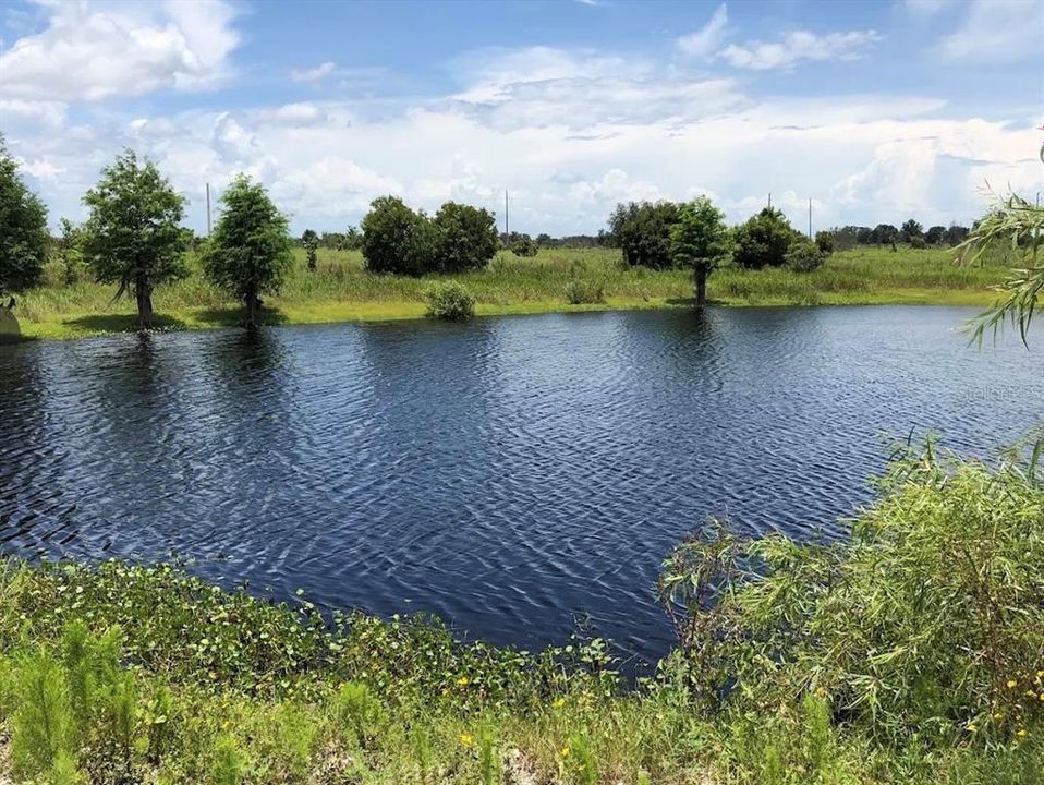 For Sale: $297,000 (5.05 acres)