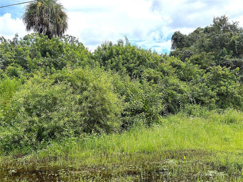 На продажу: $20,000 (0.30 acres)