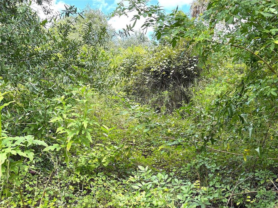 На продажу: $20,000 (0.30 acres)