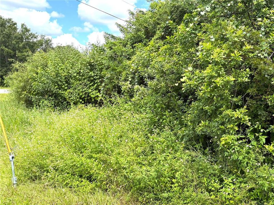 На продажу: $20,000 (0.30 acres)