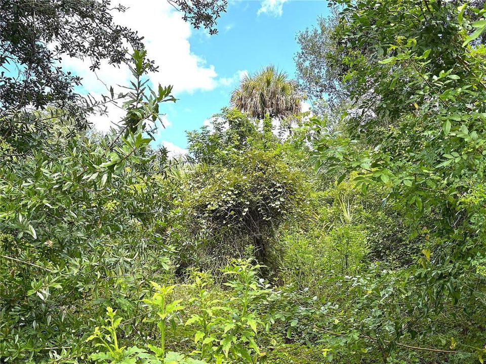На продажу: $20,000 (0.30 acres)