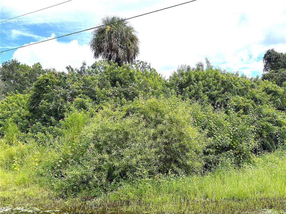 На продажу: $20,000 (0.30 acres)