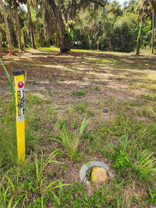 For Sale: $115,000 (0.70 acres)