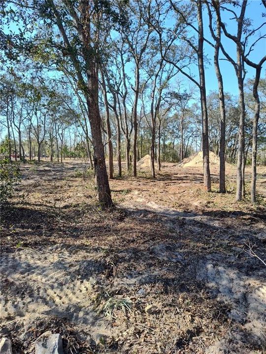 En Venta: $49,999 (0.60 acres)