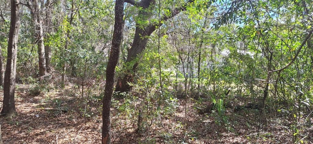 For Sale: $13,500 (0.22 acres)