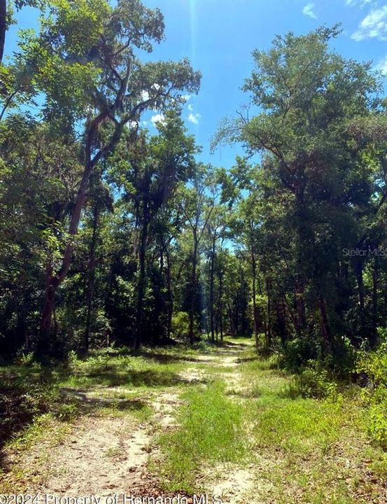 For Sale: $279,000 (4.50 acres)