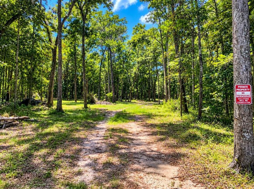 For Sale: $279,000 (4.50 acres)
