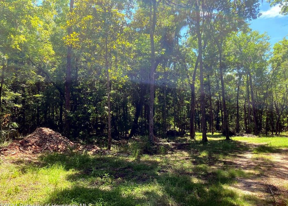 For Sale: $279,000 (4.50 acres)