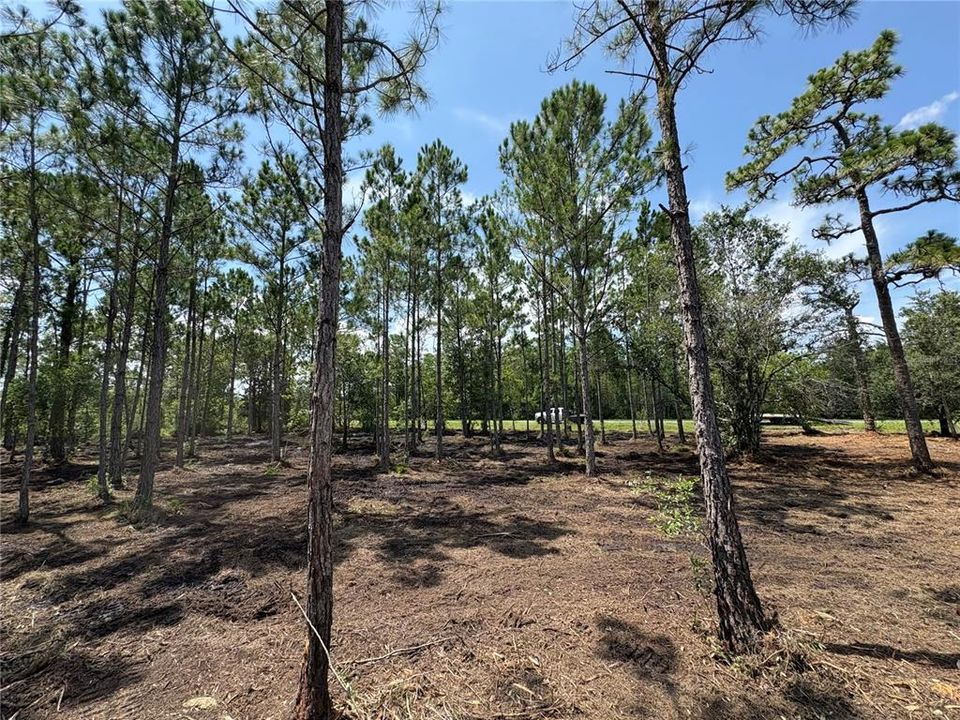 待售: $145,000 (1.03 acres)