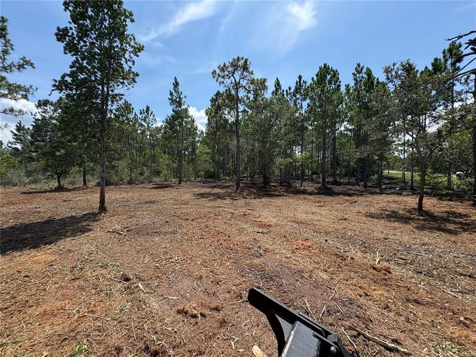 待售: $145,000 (1.03 acres)
