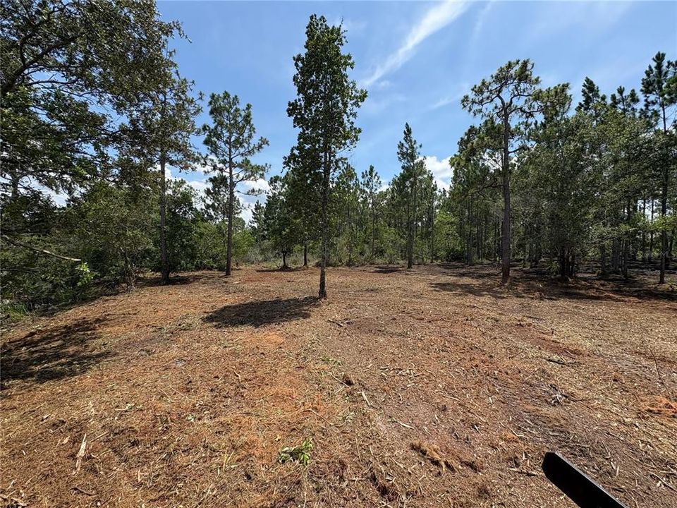 待售: $145,000 (1.03 acres)