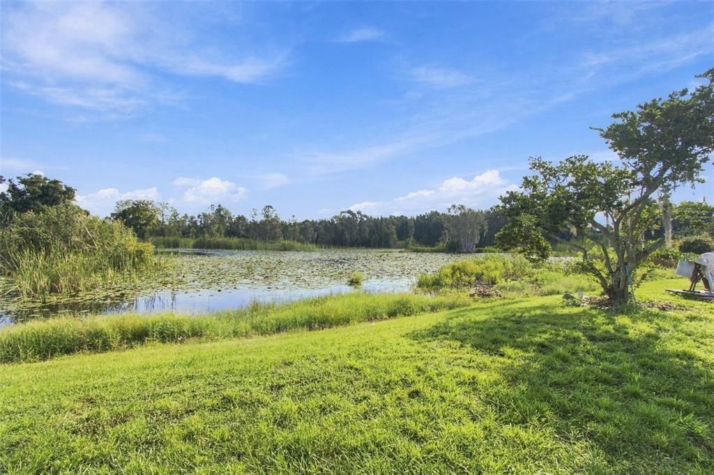 На продажу: $1,175,000 (2.83 acres)