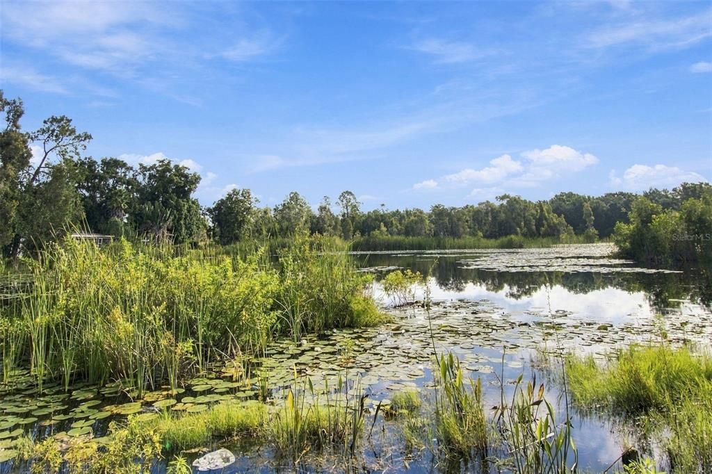На продажу: $1,175,000 (2.83 acres)