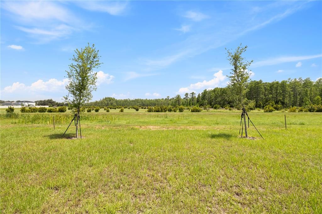 For Sale: $425,000 (4 beds, 2 baths, 1824 Square Feet)