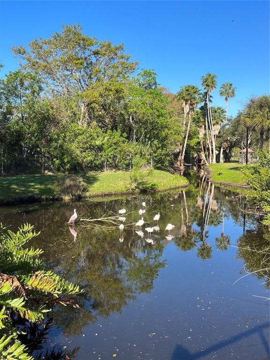 For Rent: $2,100 (2 beds, 2 baths, 1120 Square Feet)