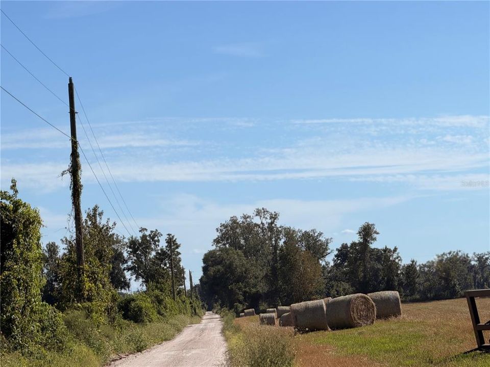 For Sale: $350,000 (39.69 acres)